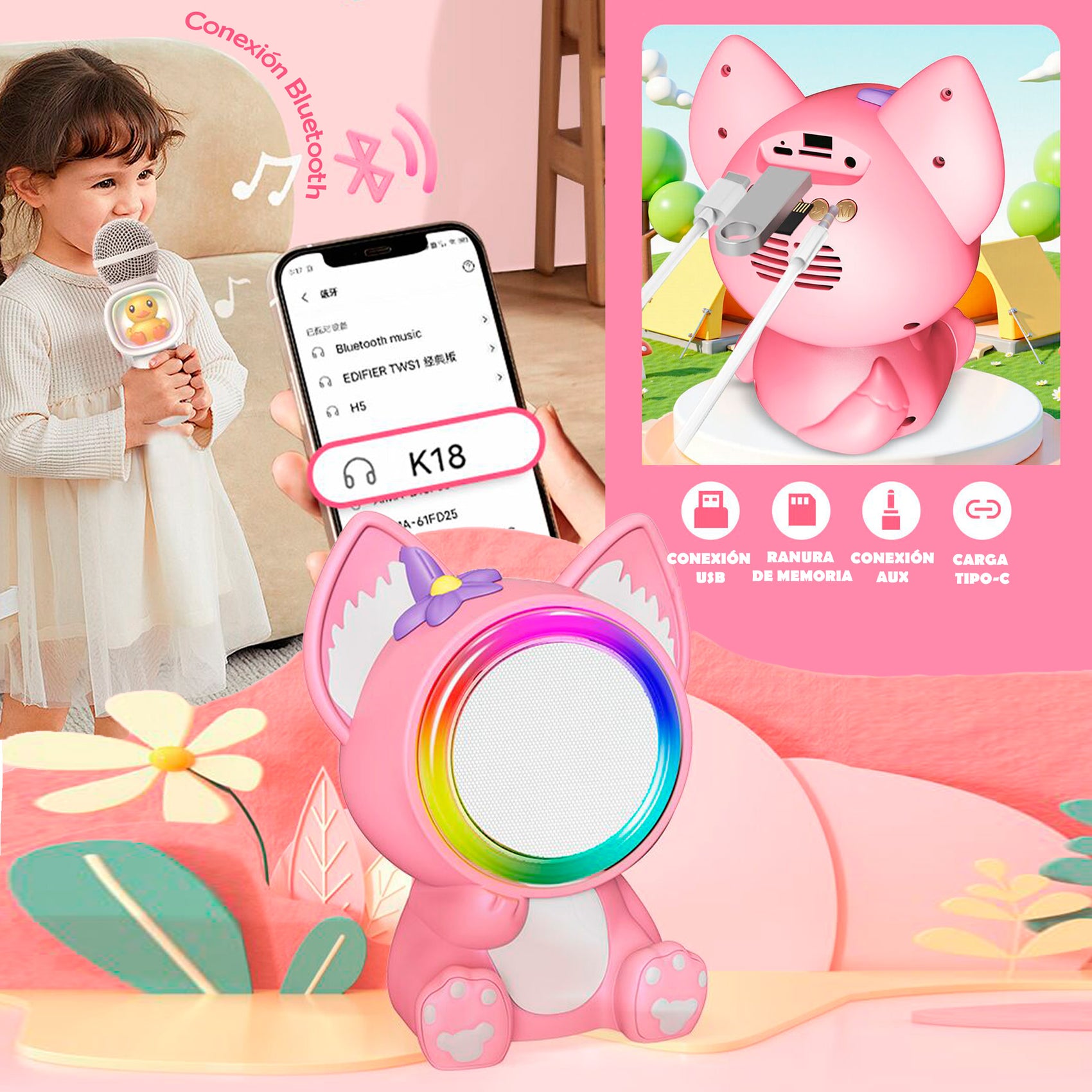 Conexiones set karaoke Ahri Bluetooth USB SD auxiliar Newplay - puertos y conectividad